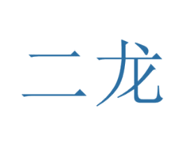 二龙 商标图样