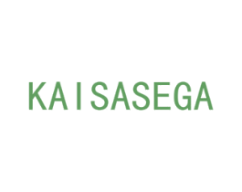 KAISASEGA 商标图样