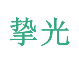 挚光 商标图样