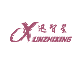 迅智星 商标图样