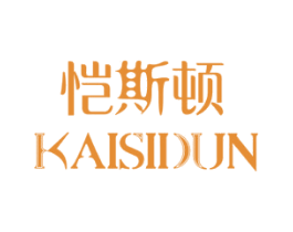 恺斯顿 商标图样