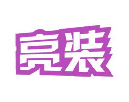 亮装 商标图样