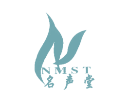 名声堂 NMST N 商标图样