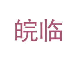 皖临 商标图样