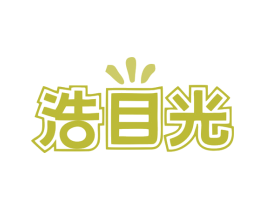 浩目光 商标图样