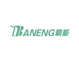 霸能 商标图样