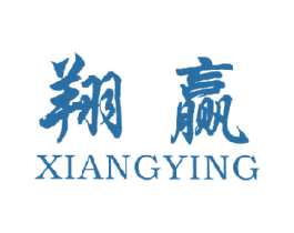 翔赢 商标图样