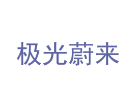 极光蔚来 商标图样