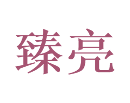 臻亮 商标图样