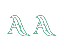 AA 商标图样