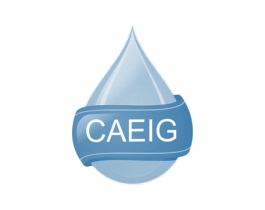 CAEIG 商标图样