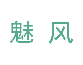 魅风 商标图样