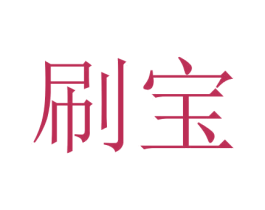 刷宝 商标图样