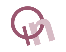 QN 商标图样