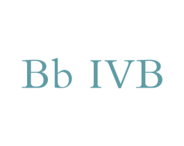 BB IVB 商标图样