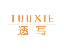 透写 商标图样