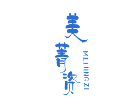 美菁资 商标图样