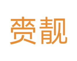 赍靓 商标图样