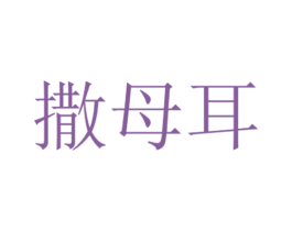撒母耳 商标图样