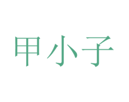 甲小子 商标图样