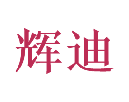 辉迪 商标图样