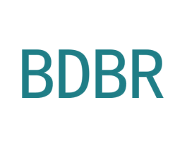 BDBR 商标图样