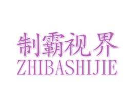 制霸视界 商标图样