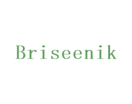 BRISEENIK 商标图样