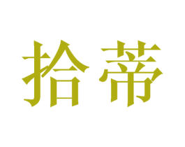 拾蒂 商标图样