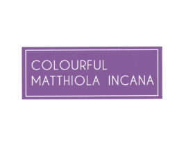 COLOURFUL MATTHIOLA INCANA 商标图样