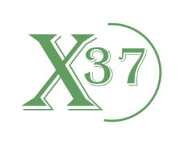 X37 商标图样