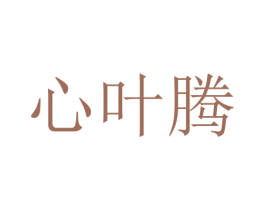心叶腾 商标图样