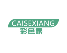 彩色象 商标图样