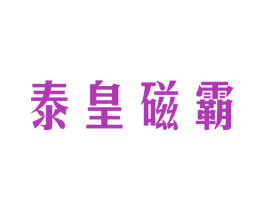 泰皇磁霸 商标图样