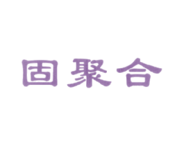 固聚合 商标图样