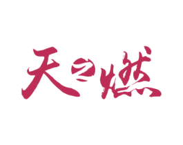 天之燃 商标图样