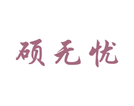 硕无忧 商标图样