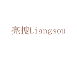 亮搜 商标图样