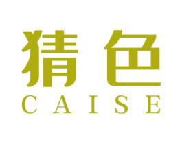 猜色 商标图样