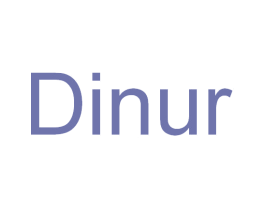 DINUR 商标图样
