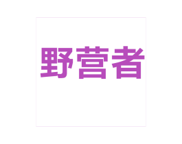 野营者 商标图样