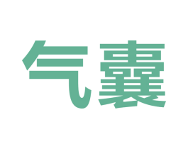 气囊 商标图样