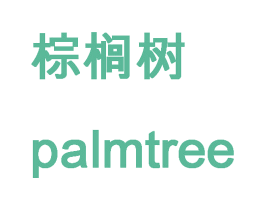 棕榈树  PALMTREE 商标图样