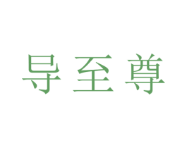 导至尊 商标图样