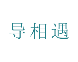 导相遇 商标图样