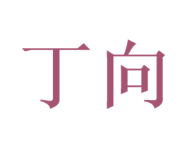 丁向 商标图样