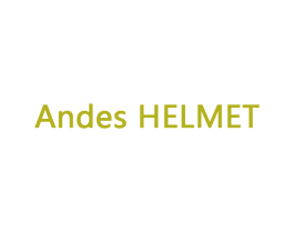 ANDES HELMET 商标图样
