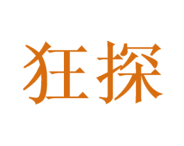 狂探 商标图样