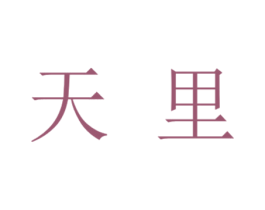 天里 商标图样