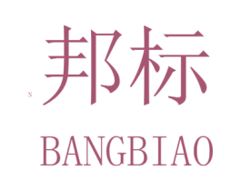 邦标 N 商标图样